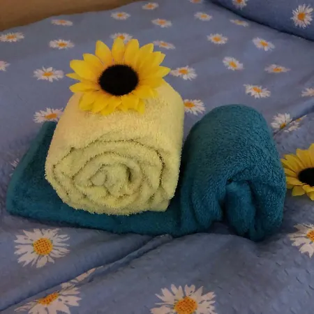 Bed and breakfast Prenocisca Recnik Hočko Pohorje