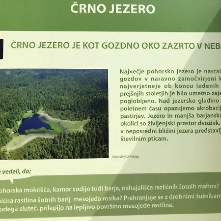 Bed and Breakfast Prenocisca Recnik Hočko Pohorje